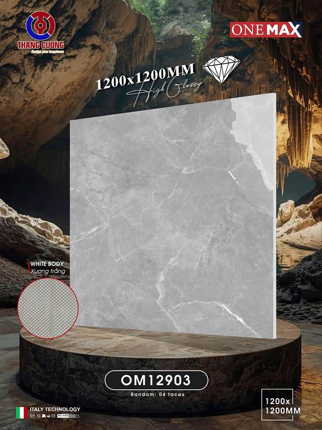 Gạch Việt Nam 120x120 – mã QH65483