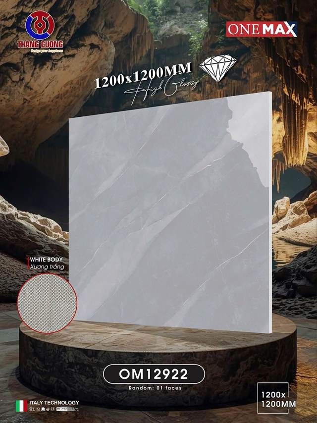 Gạch Việt Nam 120x120 – mã QH65486