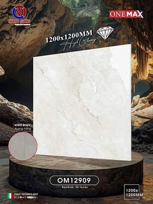 Gạch Việt Nam 120x120 – mã QH65491