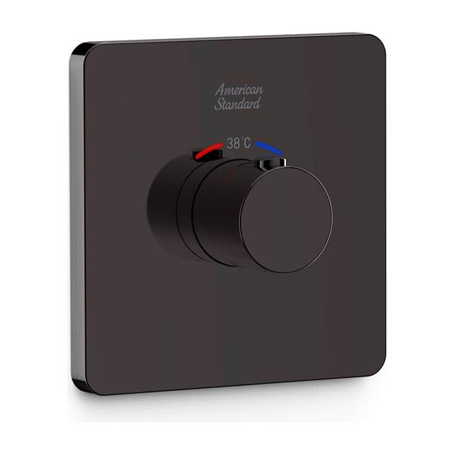 Conceal Thermostatic Mixer with Trim_Polished Hard Graphite American Standard