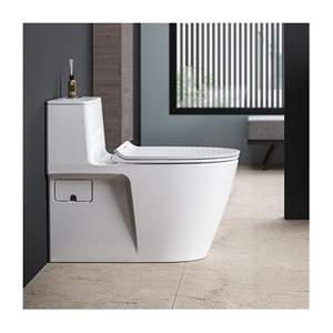 Bộ cầu 1 khối Acacia Supasleek™ American Standard