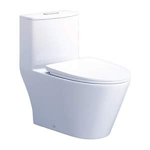 Bàn Cầu Một Khối Caesar C1363