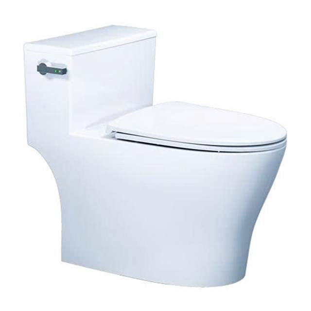 Bàn Cầu Một Khối Nắp Êm Caesar C1393