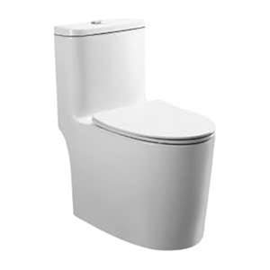 C10000024OS - Bồn cầu một khối COTTO VIBE