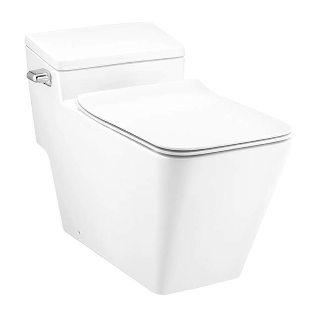C103247 Bồn cầu COTTO 01 khối Simply Modish
