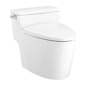 C105257 - BỒN CẦU MỘT KHỐI RIVIERA PRO COTTO