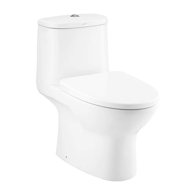 C1053 Bồn cầu COTTO 01 khối MICC