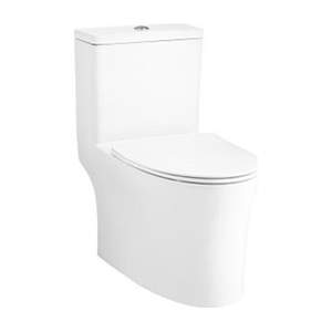 C105607 Bồn cầu COTTO 01 khối VISTRA