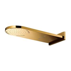 Z23#GR(HM) - Bát sen mưa gắn trần có đèn Led COTTO