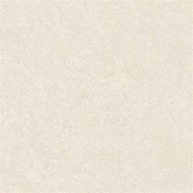 Gạch Catalan Titan 10025 100x100