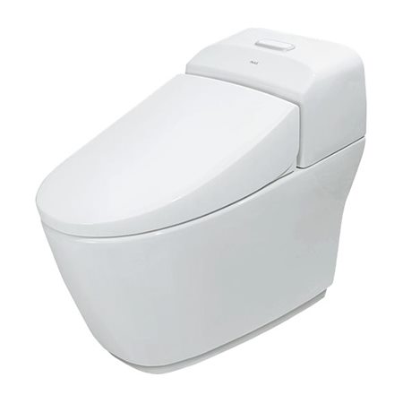 Bồn cầu 1 khối INAX AC-1032VN