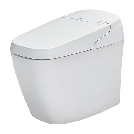 Bồn cầu thông minh INAX AC-G216VN/BW1