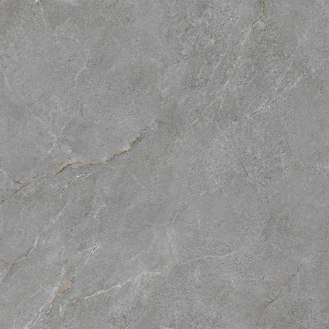 Gạch Mikado Cerinco CP1010.3006F 100x100