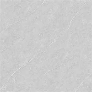 Gạch Mikado Golden Tile GP1010.7082F 100x100