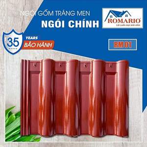 Ngói sóng Romario – mẫu 1