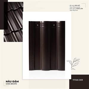 Ngói sóng Đồng Tâm – mẫu 6