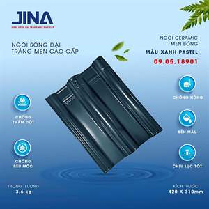 Ngói sóng Jina 1 vít – mẫu 1