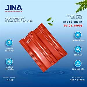 Ngói sóng Jina 1 vít – mẫu 2