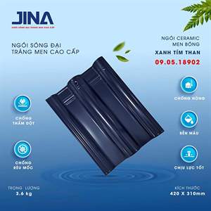 Ngói sóng Jina 1 vít – mẫu 4