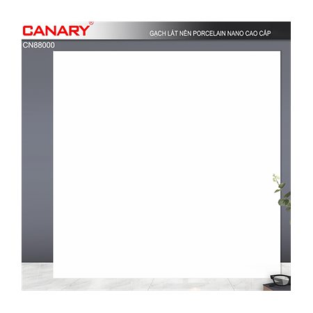 Gạch Canary CN88000 80x80cm