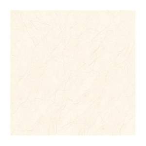 Gạch giả đá Mikado Videcor VP8001 (MATT) 80x80 cm