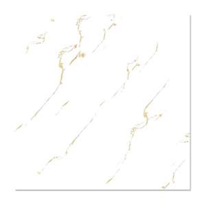 Gạch giả đá Mikado Videcor VP8820 80x80 cm