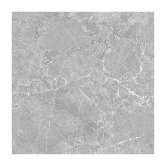 Gạch lát nền Amado 10009 100x100cm