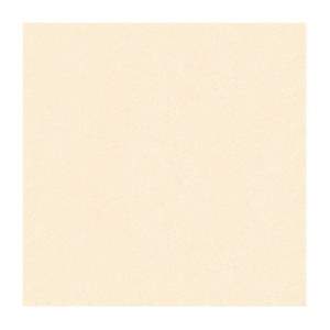Gạch lát nền Canary 60x60 CN66033