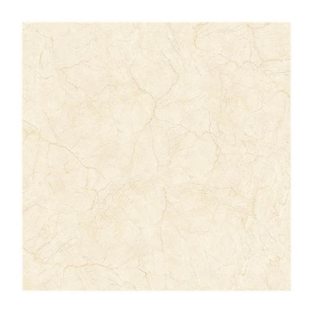 Gạch lát nền CMC 100x100 CGD1010007S3