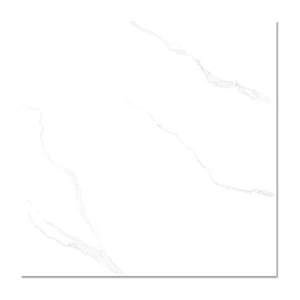 Gạch lát nền CMC 100x100 CGD1010009S4