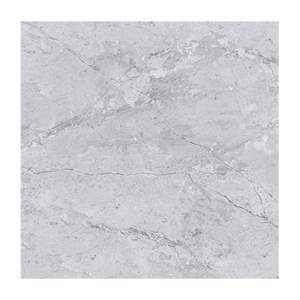 Gạch lát nền CMC 100x100 CGD1010010S4