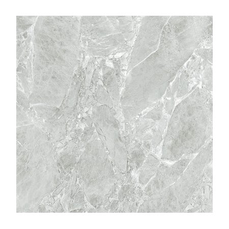 Gạch lát nền CMC 60x60 CCG6060005S4