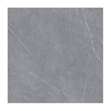 Gạch lát nền CMC 60x60 CCM6060008S4