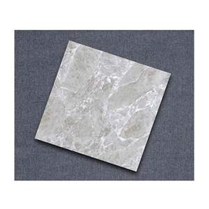 Gạch lát nền CMC 60x60 LX6668