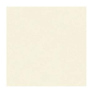Gạch lát nền CMC 60x60 SD6624