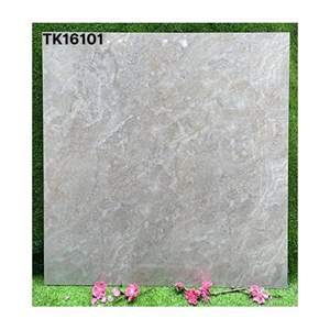Gạch lát nền Takao 60x60 TK16101