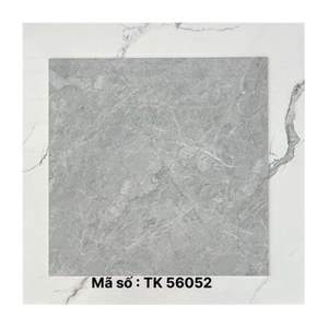Gạch lát nền Takao 60x60 TK56052