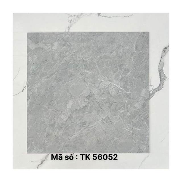 Gạch lát nền Takao 60x60 TK56052