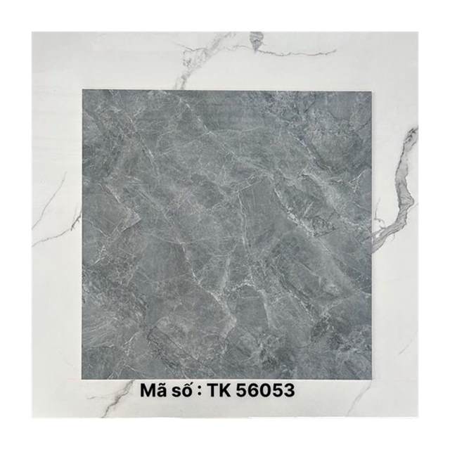 Gạch lát nền Takao 60x60 TK56053