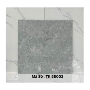 Gạch lát nền Takao 80x80 TK58002