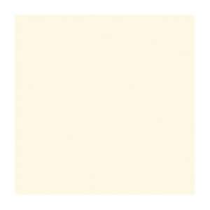 Gạch lát nền Đồng Tâm 40x40 4040GECKO003