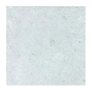 Gạch lát nền Đồng Tâm 40x40 4040GECKO005