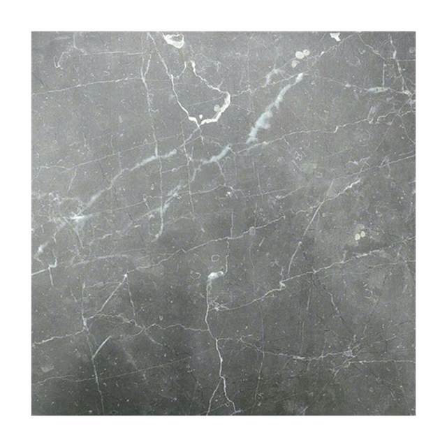 Gạch lát nền Đồng Tâm 40x40 4040GECKO009