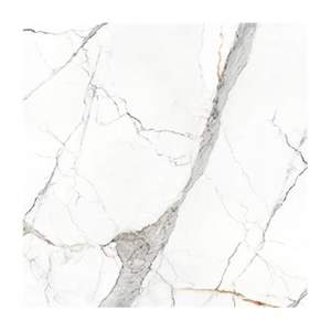 Gạch lát nền Eurotile PHL S01P 120x120cm