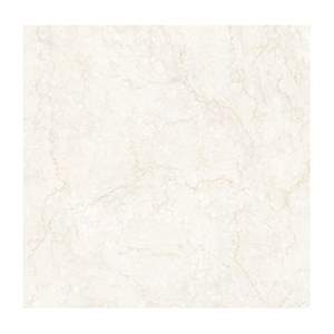 Gạch lát nền Eurotile THT S01P 120x120cm