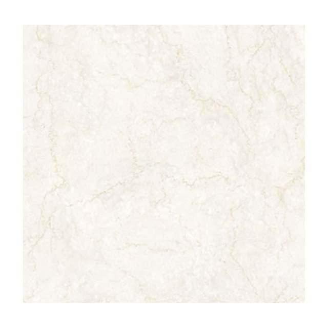 Gạch lát nền Eurotile THT S01P 120x120cm