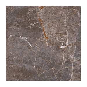 Gạch lát nền Grand Ceramics 40x40 C44SA606