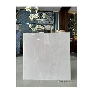Gạch lát nền Grand Ceramics 80x80 C88NS805