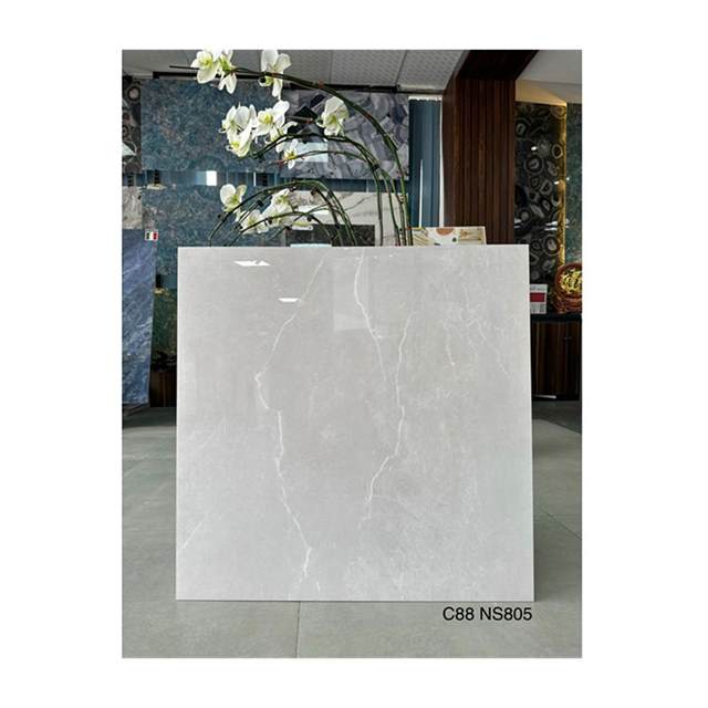 Gạch lát nền Grand Ceramics 80x80 C88NS805