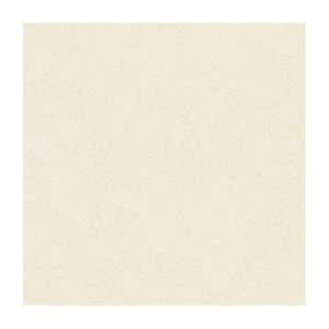 Gạch lát nền Prime 100×100 21310